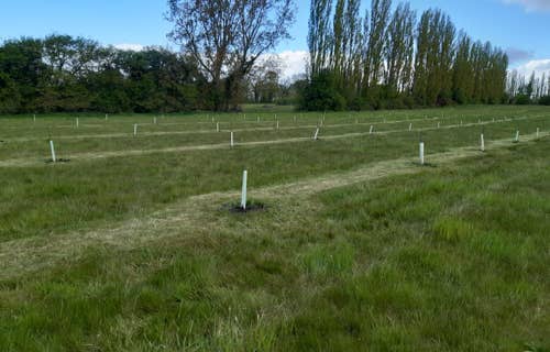 Fruit Trees Fruit Trees